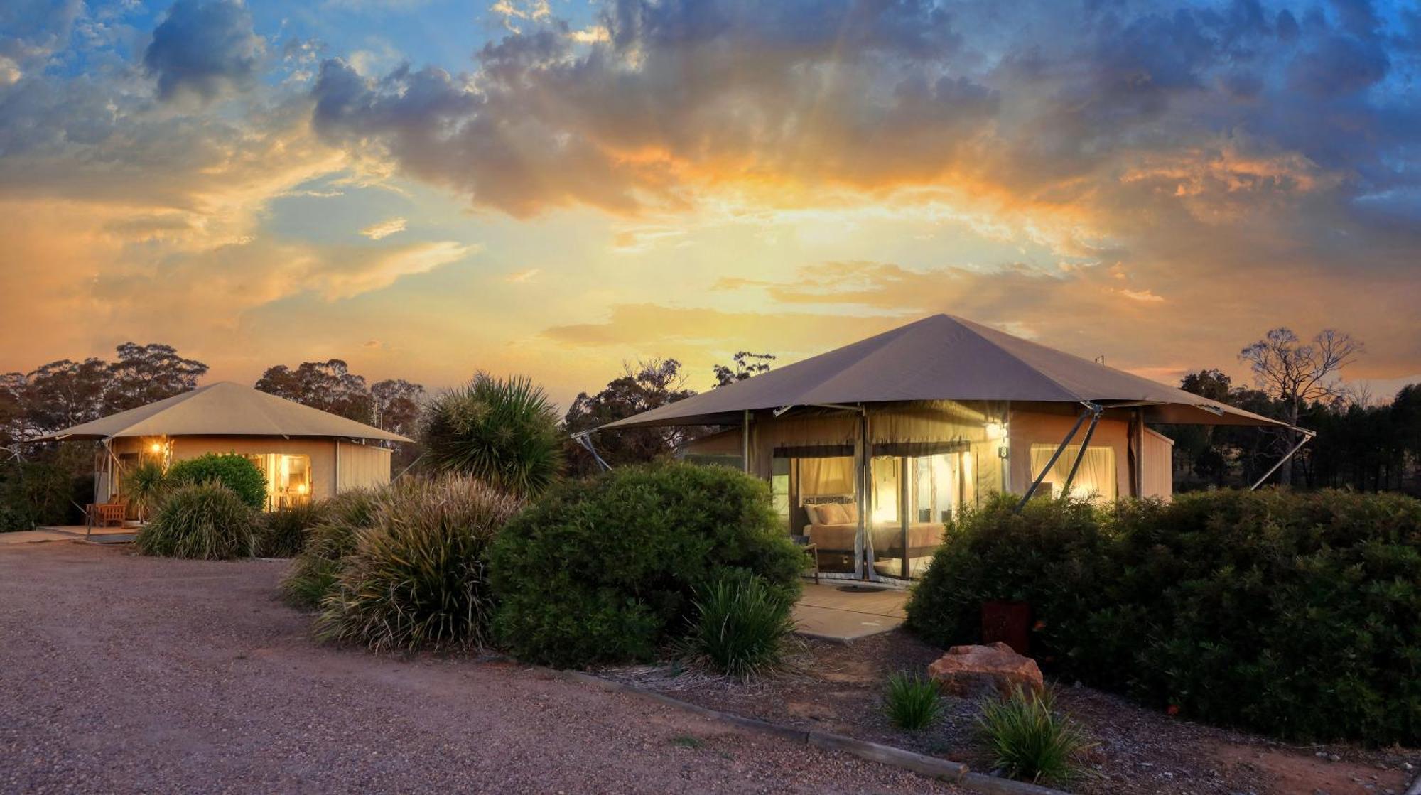 Dubbo Rhino Lodge מראה חיצוני תמונה
